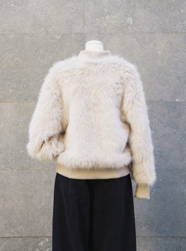 CHAQUETA 08 (5) CHAQUETA 08 (5)