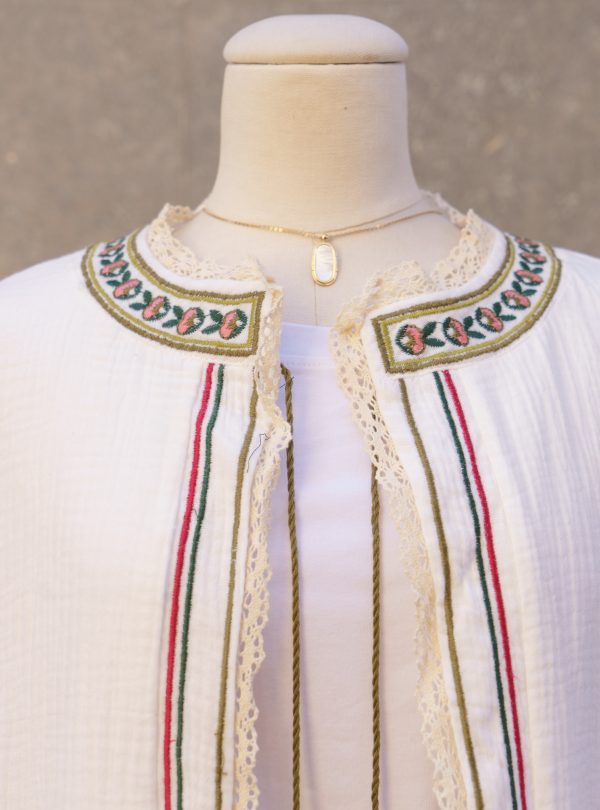 ZALMIA 04 (3) ZALMIA 04 (3)