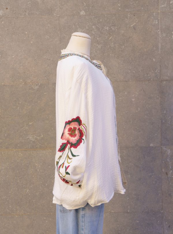 ZALMIA 04 (4) ZALMIA 04 (4)