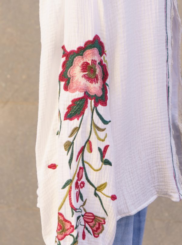 ZALMIA 04 (5) ZALMIA 04 (5)