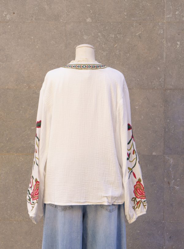 ZALMIA 04 (6) ZALMIA 04 (6)