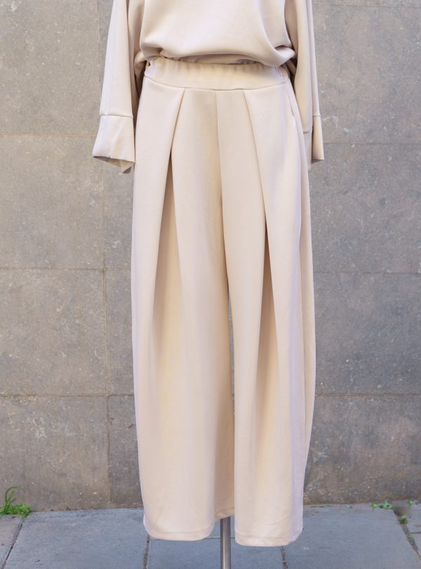 ZALMIA 08 (7) ZALMIA 08 (7)