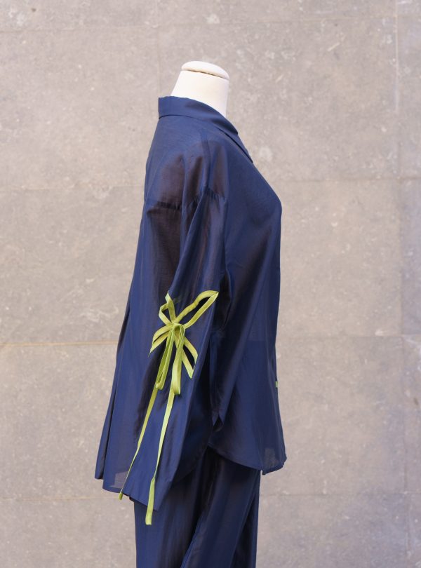 ZALMIA 15 (11) ZALMIA 15 (11)