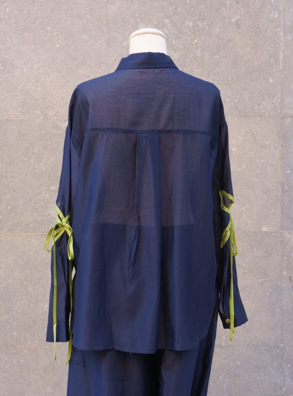 ZALMIA 15 (12) ZALMIA 15 (12)