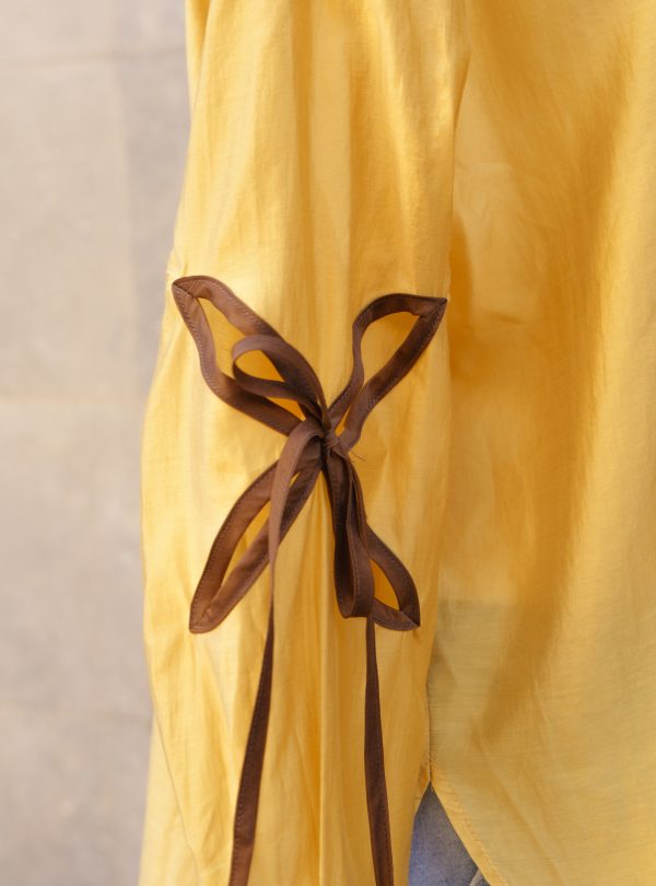 ZALMIA 15 (3) ZALMIA 15 (3)