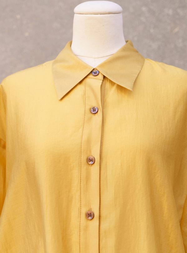 ZALMIA 15 (6) ZALMIA 15 (6)