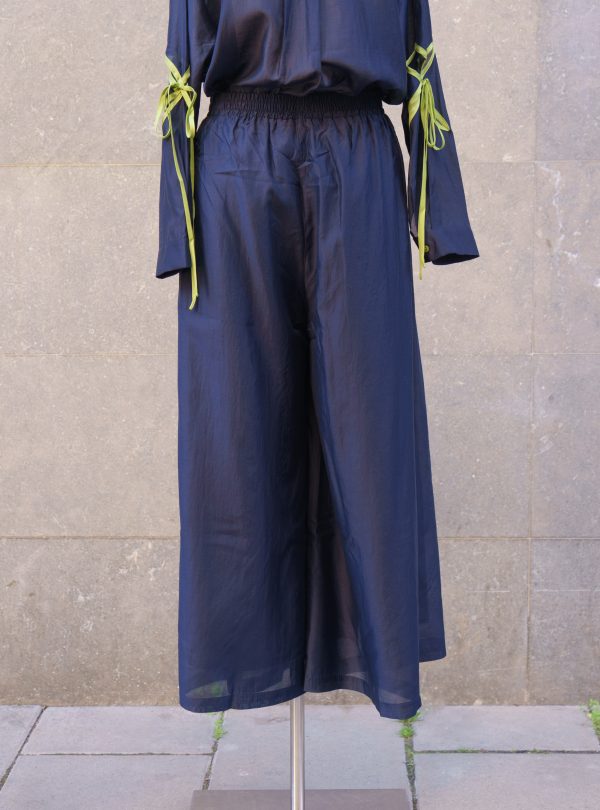 ZALMIA 22 (2) ZALMIA 22 (2)