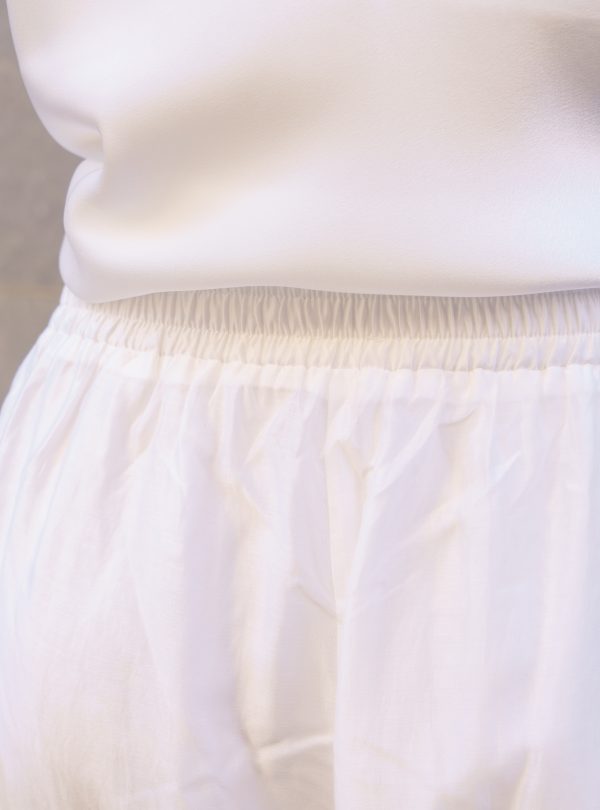 ZALMIA 23 (6) ZALMIA 23 (6)