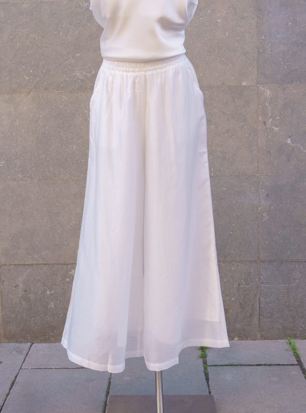 ZALMIA 23 (7) ZALMIA 23 (7)