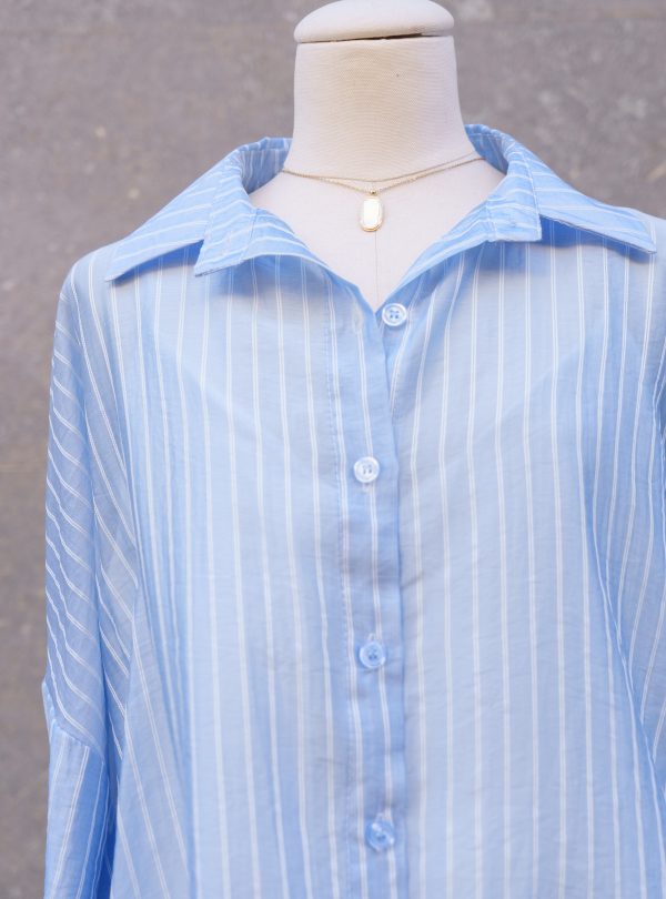 ZALMIA 27 (3) ZALMIA 27 (3)