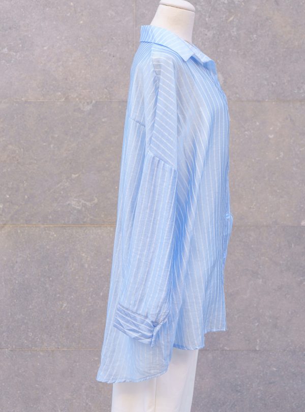 ZALMIA 27 (6) ZALMIA 27 (6)