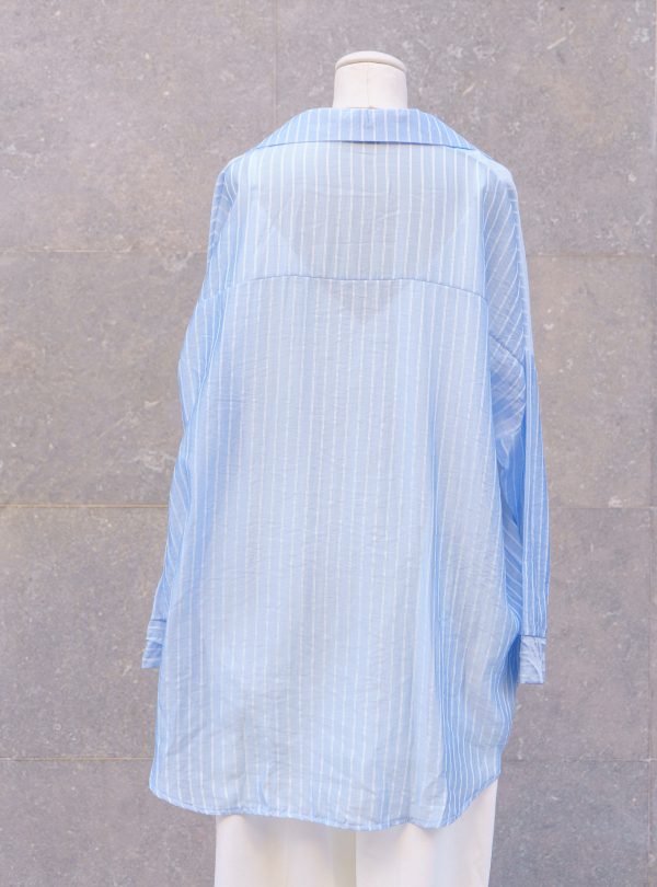 ZALMIA 27 (7) ZALMIA 27 (7)