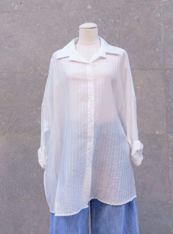 ZALMIA 29 (1) ZALMIA 29 (1)