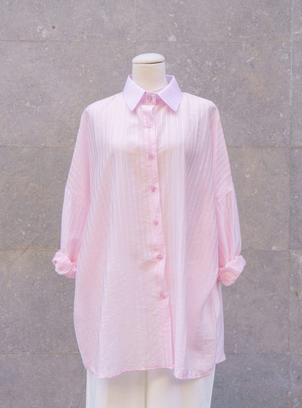 ZALMIA 29 (2) ZALMIA 29 (2)