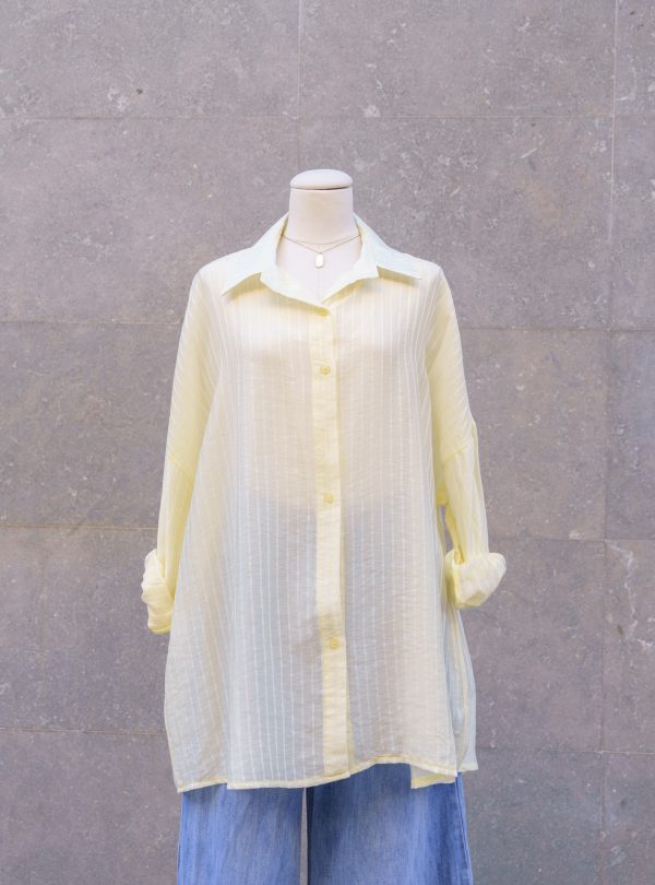 ZALMIA 29 (7) ZALMIA 29 (7)