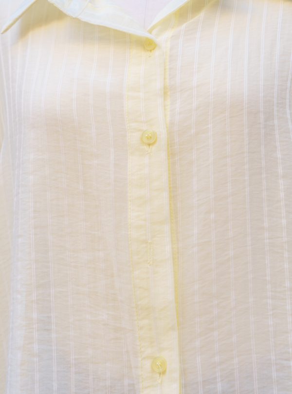 ZALMIA 29 (8) ZALMIA 29 (8)