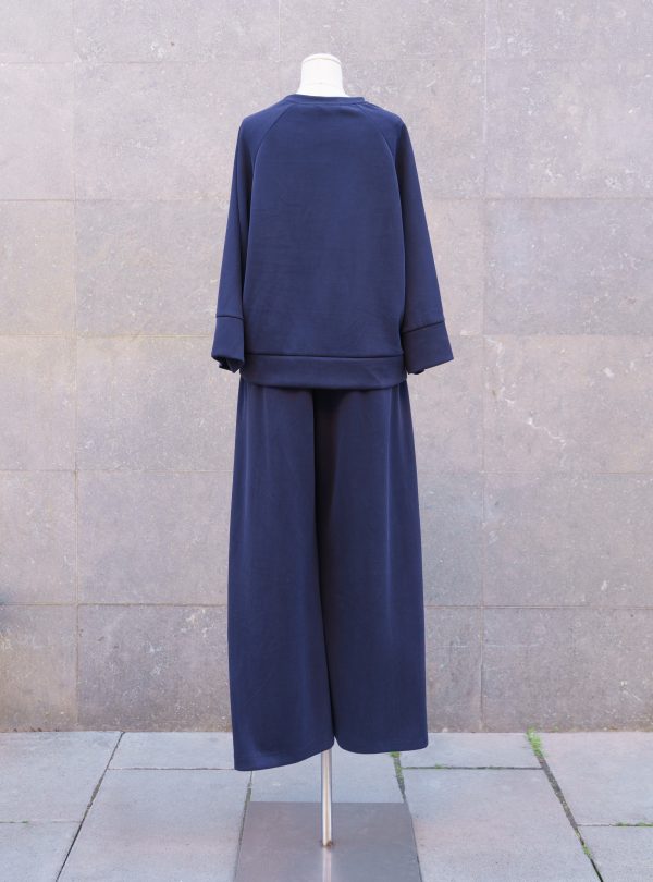 ZALMIA 33 (2) ZALMIA 33 (2)