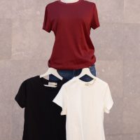 zalmia-4(1)