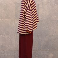 zalmia-4(2)